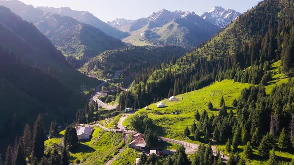 Aerial Forest Spruce in the Mountain of Almaty