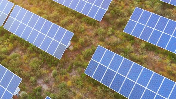 Aerial view of field of solar panels at sunset.innovation,energy, sustainabilty