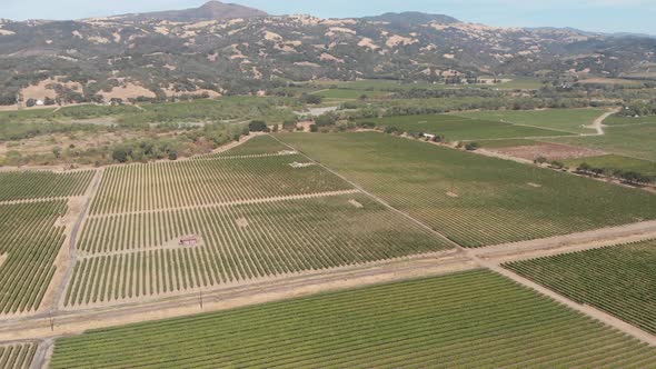 Aerial of Sonoma valley wineries in California.  Famous wine growing region in the United States of