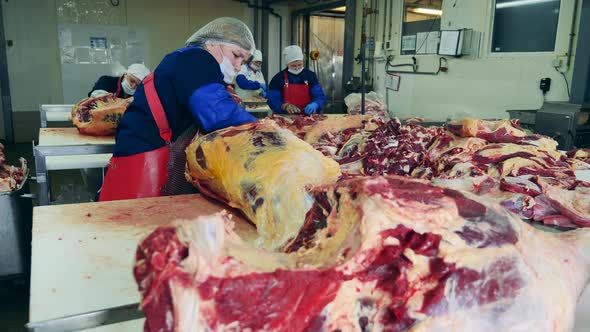 People Work with Meat, Cutting It at a Factory