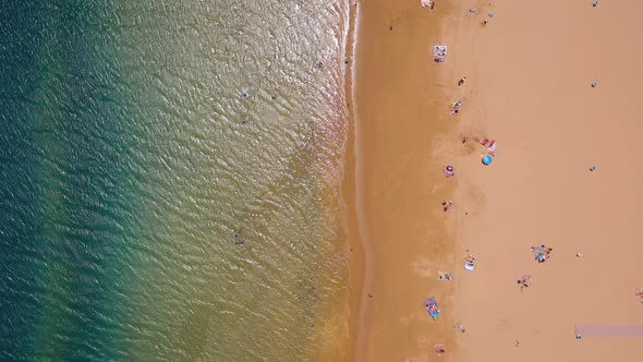 View From the Height of the Golden Sand Palm Trees Sun Loungers Unrecognizable People on the Beach