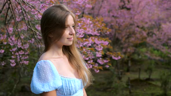 Young Female in Blue Dress Standing in Cherry Blossom Tree Garden Enjoy Nature