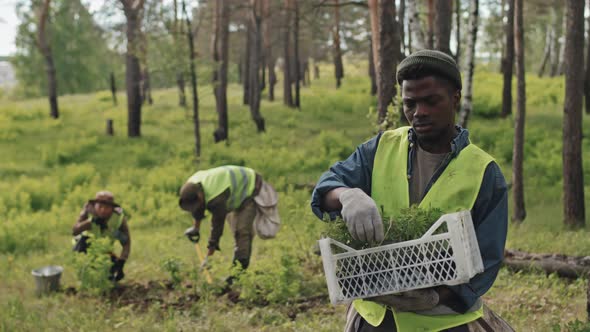 Man with Box of Seedlings