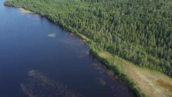 Aerial View From Drone on Summer Forest and Lake