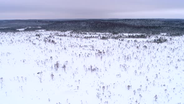 Aerial view of nordic landscapes covered with snow in Harju maakond, Estonia.