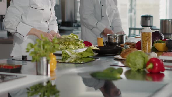 Authentic Chef Preparing Green Salad and Celery Leaves