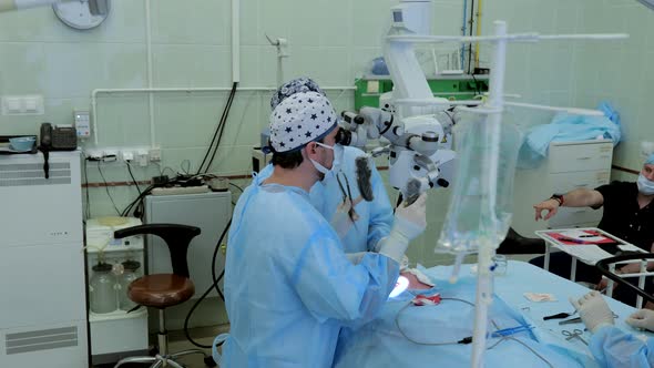 Surgeons Perform a Complex Operation Using a Microscope