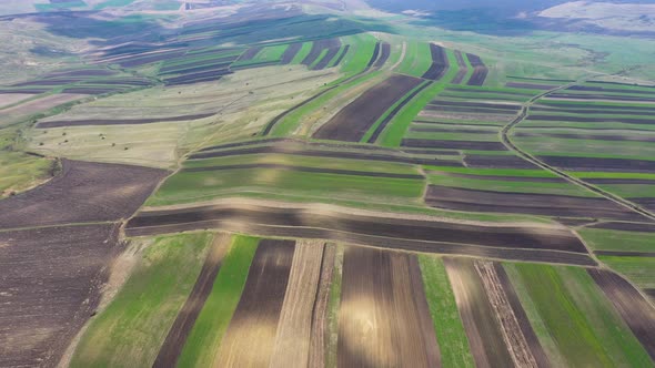 Spring fields top view.