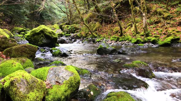 Beautiful Elk River with mossy green rocks in Southern Oregon, United States