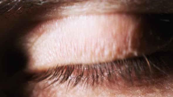 Male Eye Extreme Close-up. Amazing Blinking Male Brown with Green Eye. Sight.