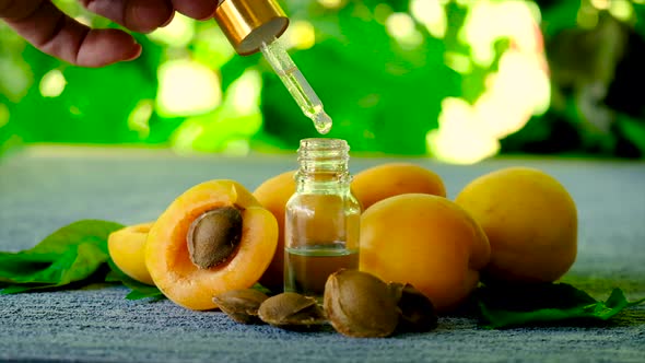 Apricot Kernel Essential Oil in a Bottle