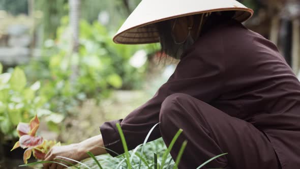 Handheld view of Vietnamese woman selling flower. Shot with RED helium camera in 8K