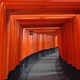 Beautiful architecture in fushimi inari temple at Kyoto Japan - VideoHive Item for Sale