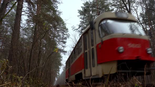 The red tram rides on the rails in the forest. 