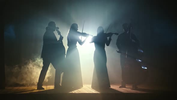 Silhouettes of a Group of Professional Musicians Playing the Violin Cello and Double Bass