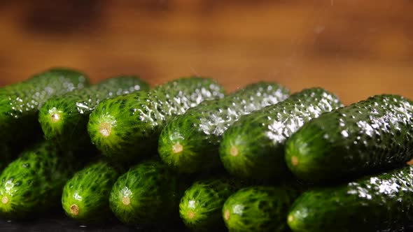Beautiful Cucumber With Drops of Water, Macro Video, Raw Organic Food Vegetables, Organic Harvest in
