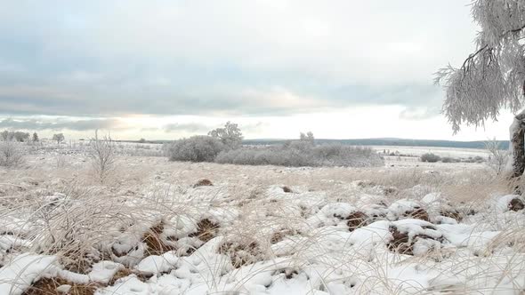 Pulling shot of frozen landscape with snow-covered grass, bushes, and trees.
