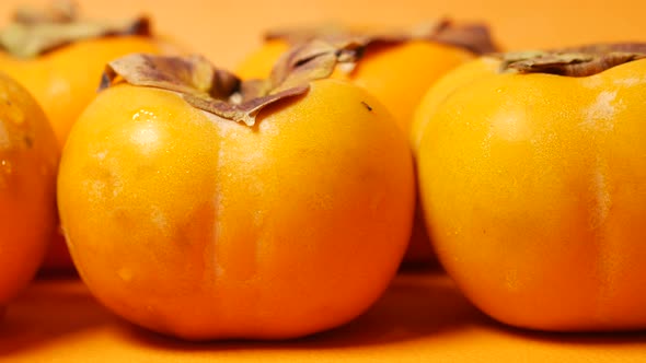 Top View of Persimmon on White Background