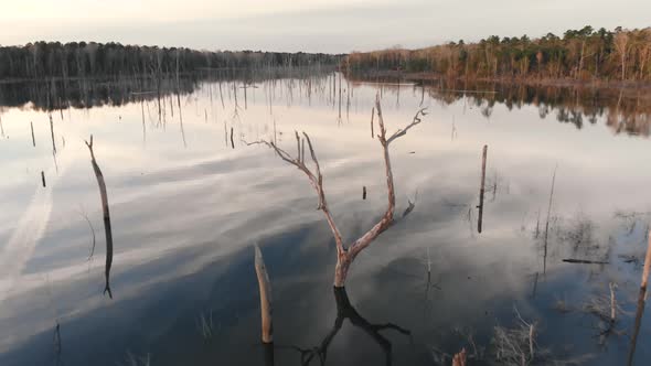 Reversing over a lake to pass just over a bare tree that looks like deer's antlers. The lake surface