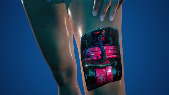 Futuristic Cyborg Woman alt