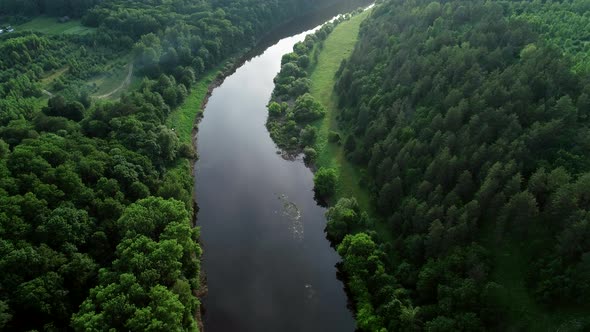 Wild River in Forest