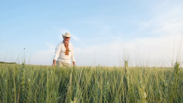 A Man in Ukrainian Embroidery Touches Wheat at Sunset