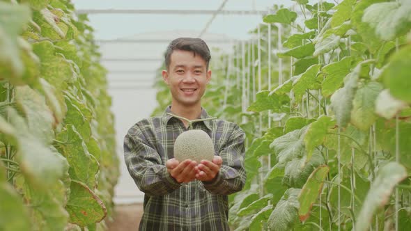 Asian Farmer Holding Melon And Smiles To Camera In Green House Of Melon Farm