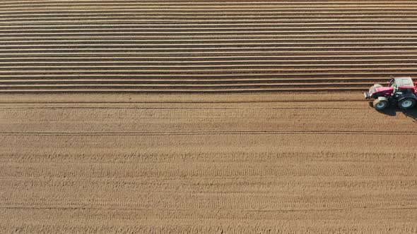 Tractor with Disc Harrows on the Farmland