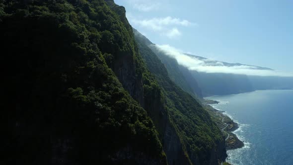 Jungle of Madeira on the Coast