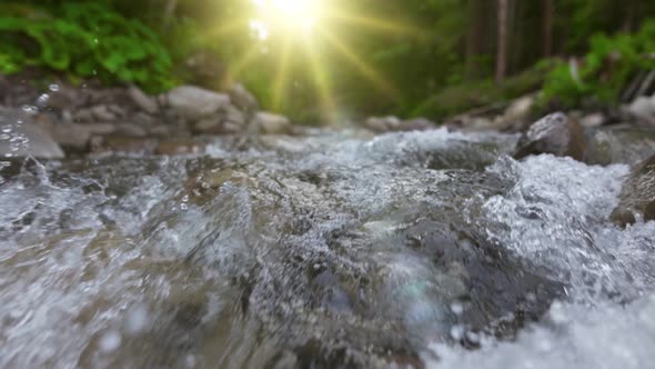 Fast Mountain River in the Forest