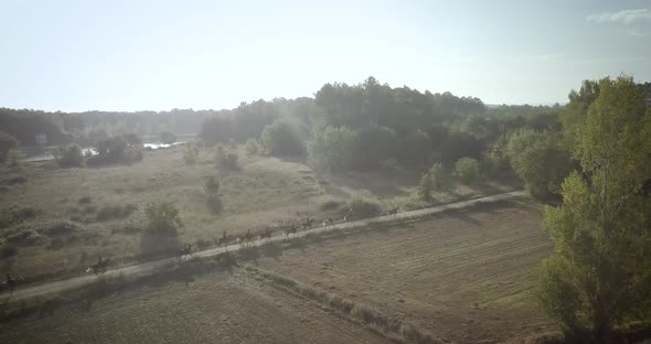 Horses riding in the countryside