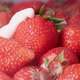 Fresh strawberries are drizzled with cream. Yogurt dripping on strawberries. Organic ripe strawberry - VideoHive Item for Sale