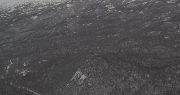 Aerial helicopter shot over frozen pine trees through fog bank to reveal valley, drone footage