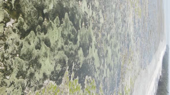 Vertical Video of Low Tide in the Ocean Near the Coast of Zanzibar Tanzania Aerial View