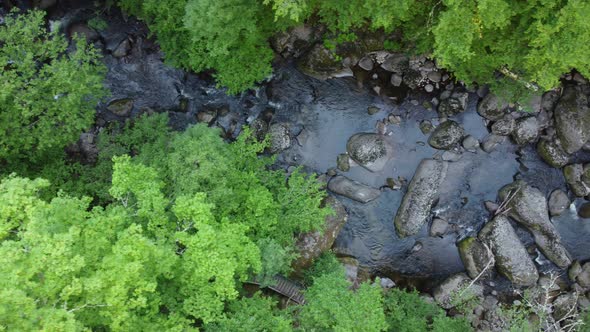 Aerial View of a Stream in the Forest in Rhodope Mountains Near the Town of Devin