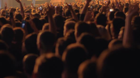 Crowd of fans enjoying concert of favourite music band