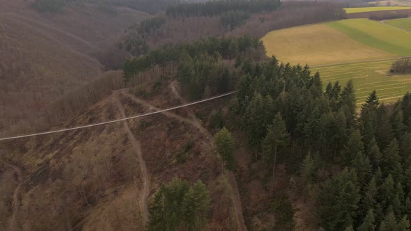 Long suspension bridge ending where rural farmland meets a mixed forest on a cloudy day. Aerial tilt