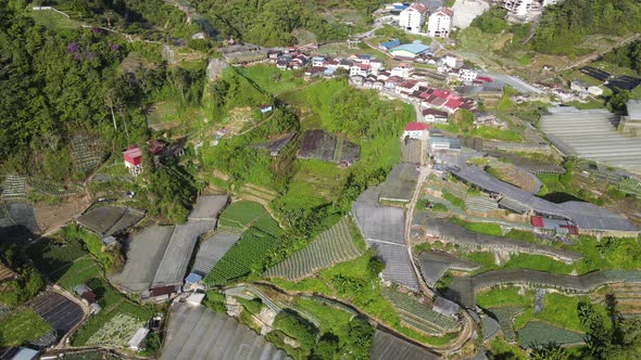 Cameron Highlands, Pahang Malaysia