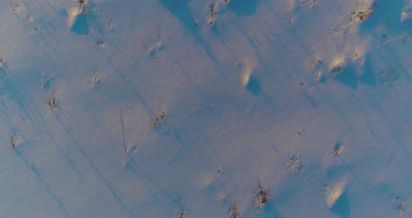 Aerial Drone View of Cold Winter Landscape with Arctic Field, Trees Covered with Frost Snow and