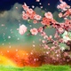 Cherry Blossom Petals Falling Down At Dusk (4K) - VideoHive Item for Sale