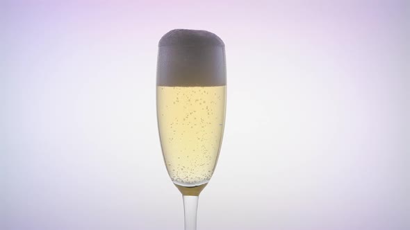 Waiter Pours the Champagne Into the Glass. White Background