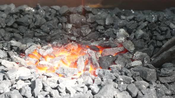 Blacksmith Heats Metal