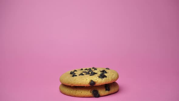 A Stack of Chocolate Chip Cookies Sprouting on a Pink Background