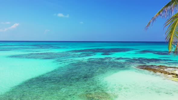 Aerial top view scenery of paradise island beach wildlife by aqua blue ocean with white sandy backgr