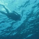 Snorkeling In The Mediterranean Sea - VideoHive Item for Sale