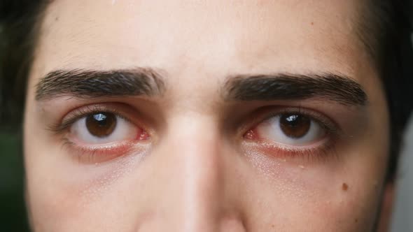 Brown Eyes of Young Brunette Man Closeup Shooting Male Face Calm View