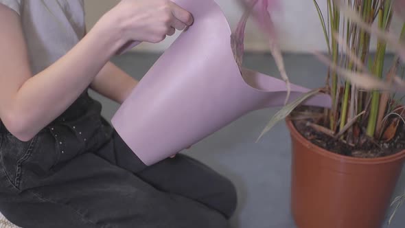 a Child Watering a Flower From a Watering Can