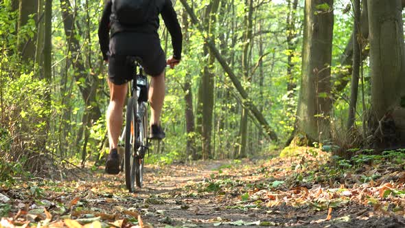 A Cyclist Rides Down a Path Through a Forest - Rear View From Ground