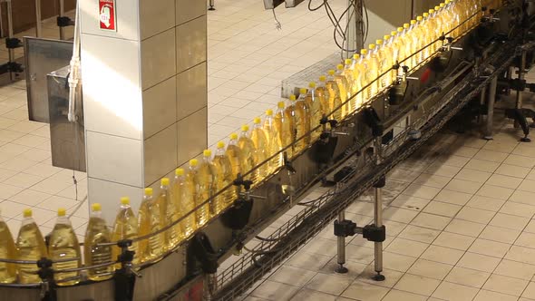 Sunflower oil production.