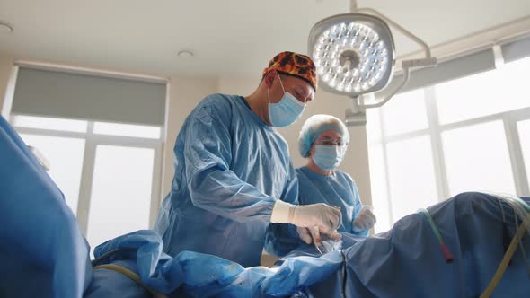 Cooperating Team of Surgeons Perform Organ Transplant Operation Surgery in